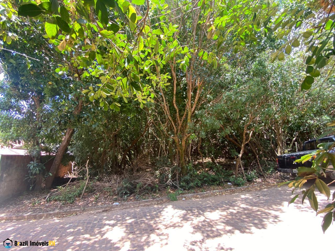 Land in Praia da Pipa, Tibau do Sul