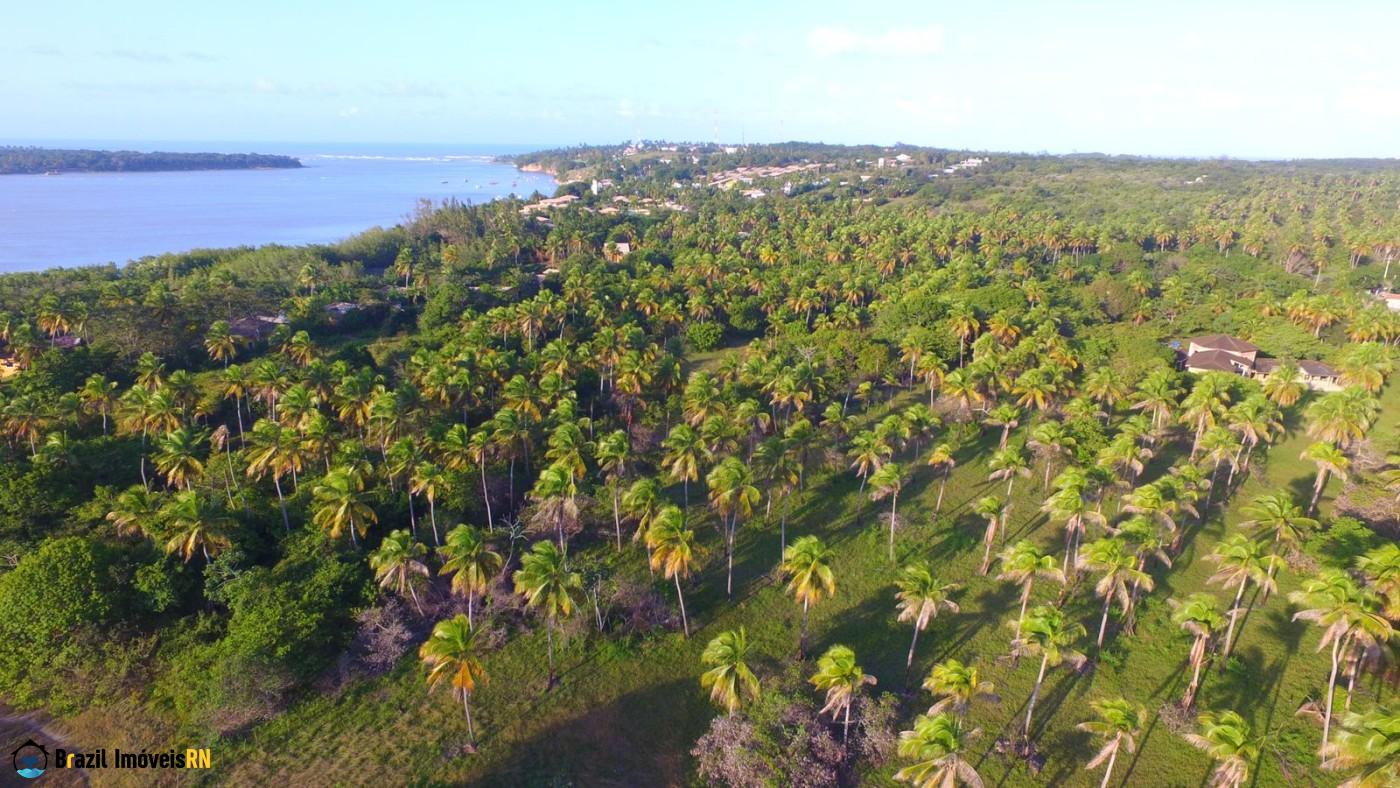 Land in Tibau do Sul
