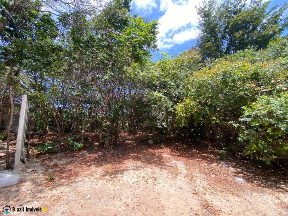 Land in AV. Baía dos Golfinhos, PRAIA DE PIPA, 900