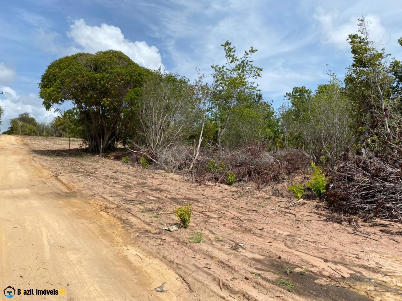 Land in Tibau do Sul