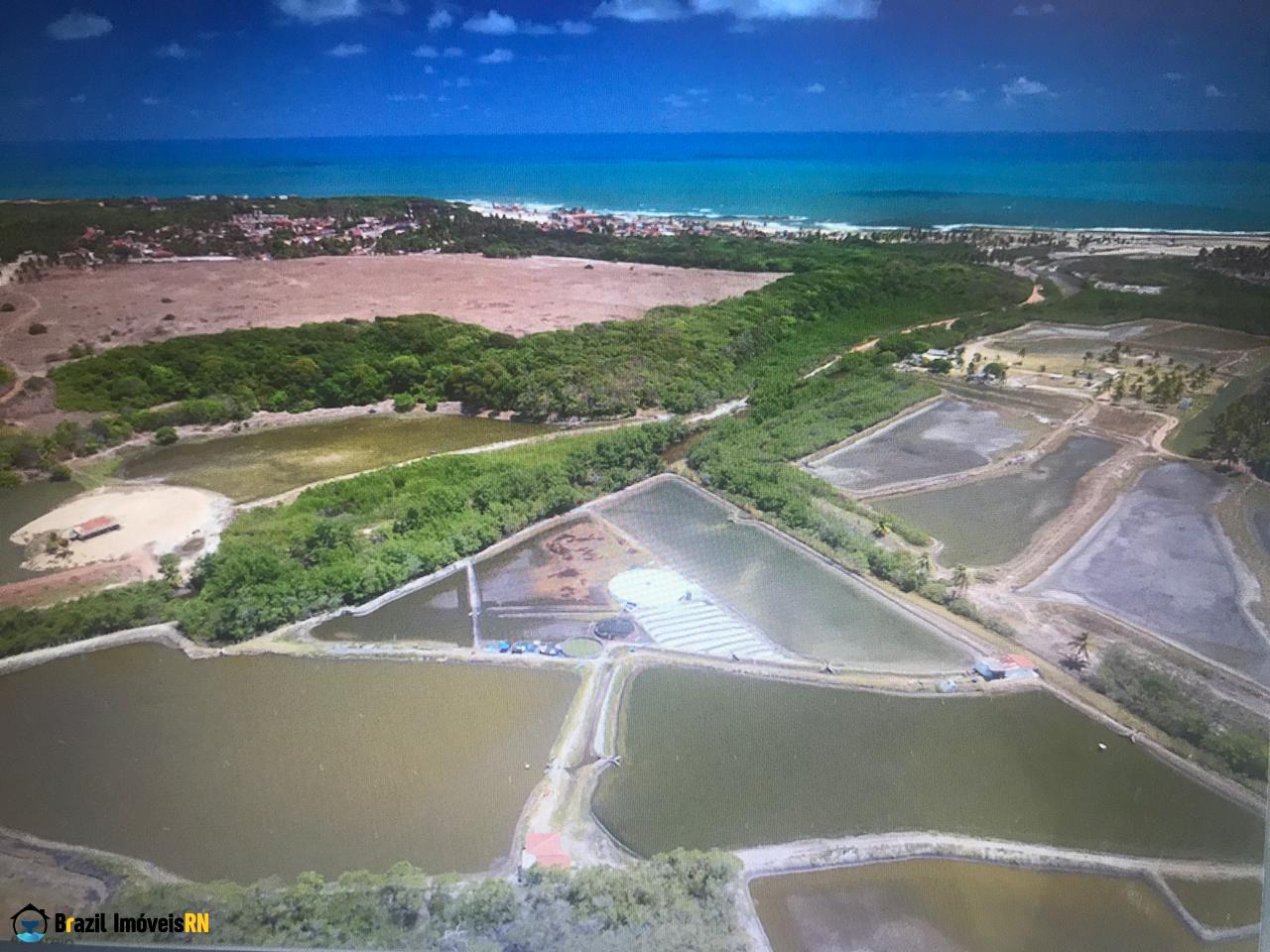 Land in Sibaúma, Tibau do Sul