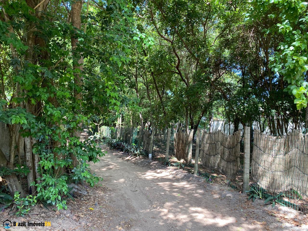 Land in Praia da Pipa, Tibau do Sul
