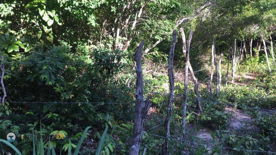 Land in Praia da Pipa, Tibau do Sul