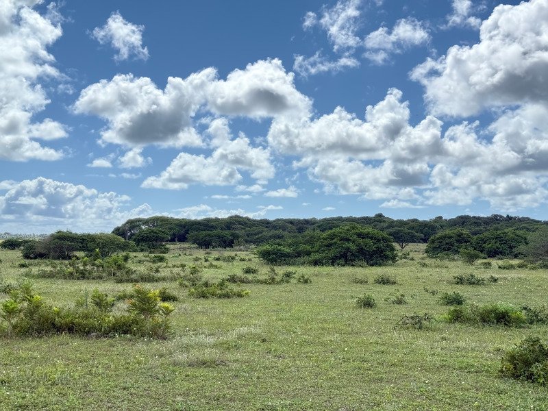 Land in Pipa