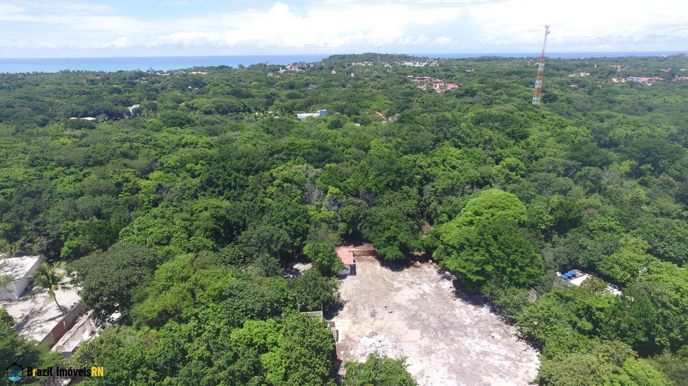 Land in Terreno para Venda, bairro Praia de Pipa, terreno 12.000,00 m&sup2;