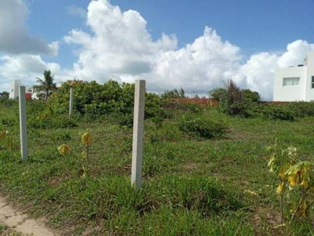 Land in Terreno com vista para o mar