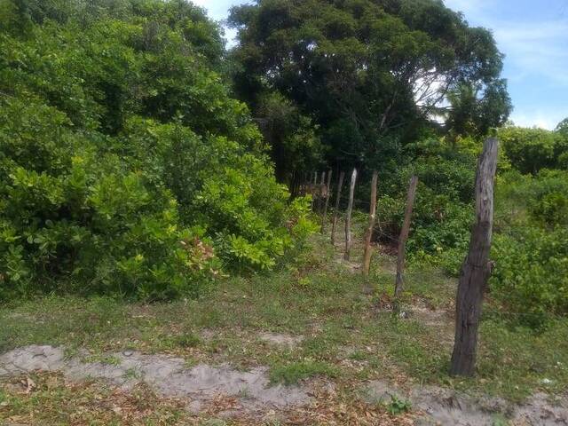 House in Área para empreendimento com 3.020m²