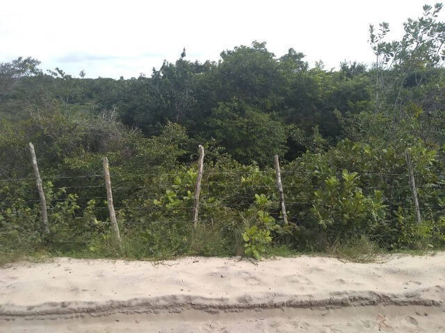 Land in terreno de 5.700m²