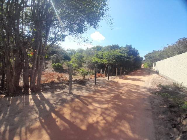 Land in VENDA  terreno 965,59m2 com escritura pública