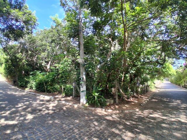 Land in Terreno 2.100m² vista mar Praia do amor