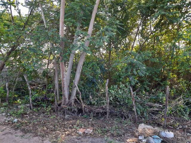 Land in Aproveite a Vida na Praia da Pipa: Terreno de 496m² à Venda