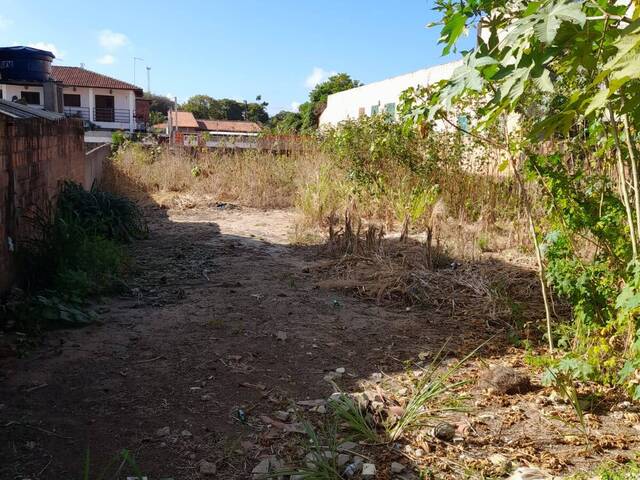 Land in Oportunidade na Praia da Pipa! Terreno à Venda - 594m²