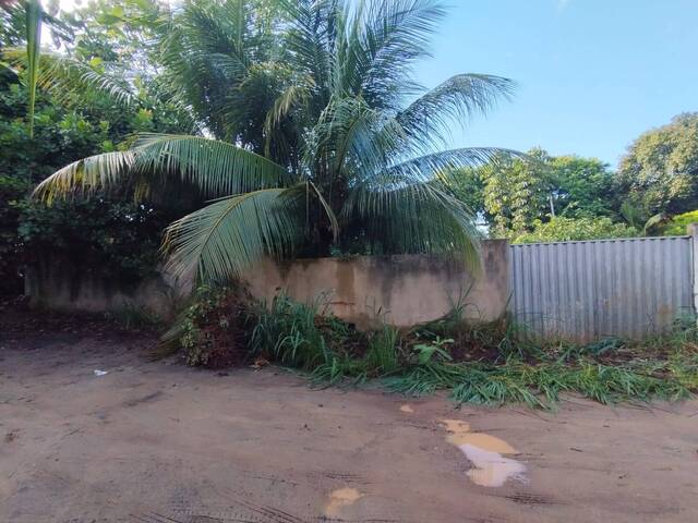 Land in Oportunidade de Investimento na Praia da Pipa Lote 748m²