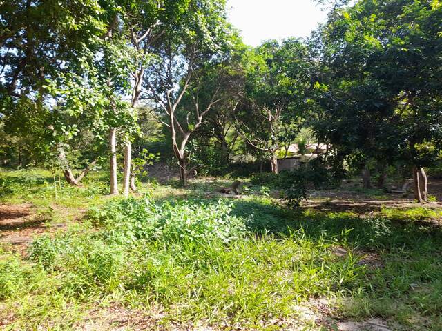 Land in TERRENO de esquina 985M² na parte alta de Pipa