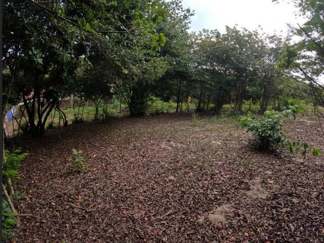 Land in Terreno 762,600m² plano próximo de centro de Pipa