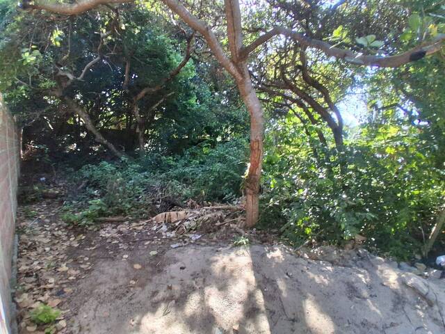 Land in Terreno 312m² escriturado bem localizado em Pipa