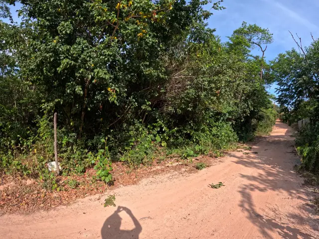 Land in LOTE DE 300 m² | PRAIA DA PIPA