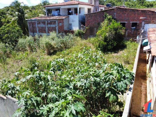 Land in Terreno à Venda na Praia da Pipa- Tibau do Sul/ RN