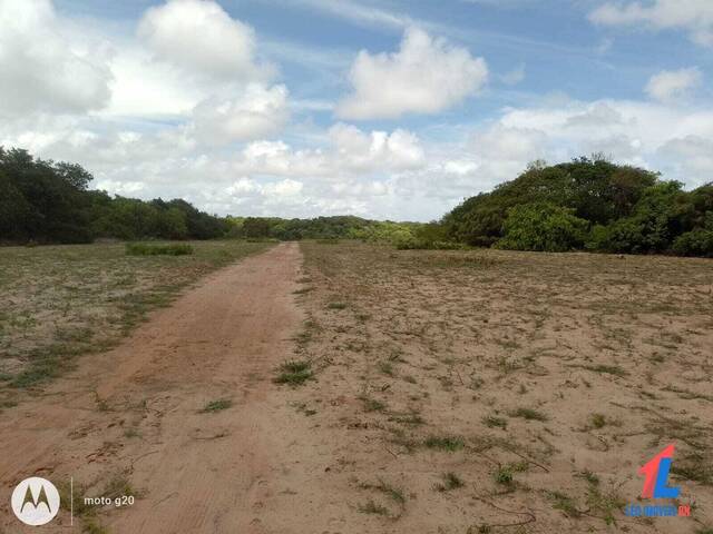 House in Fazenda à Venda Vila Flor/ RN