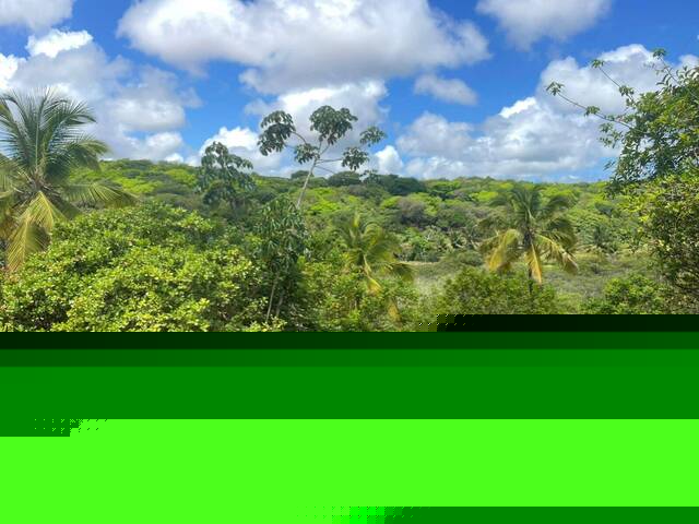 House in Terreno à Venda em Entre Rios- Vila Flor