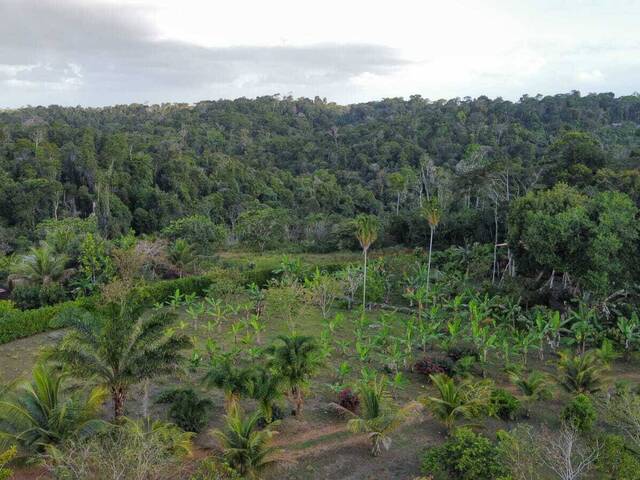 Land in Terreno à Venda em Itacaré- Bahia