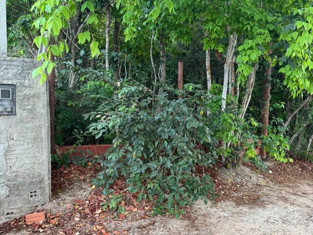 Land in Terreno à Venda na Praia da Pipa- Tibau do Sul/ RN