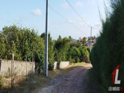 Land in Terreno para Venda em Sibaúma- Tibau do Sul / RN