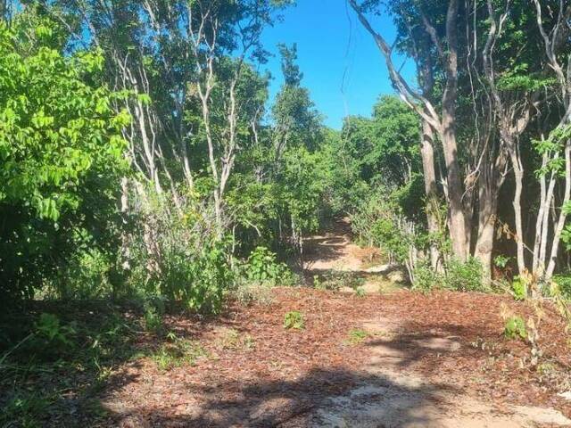 Land in Terreno para Venda na Praia da Pipa- Tibau do Sul / RN