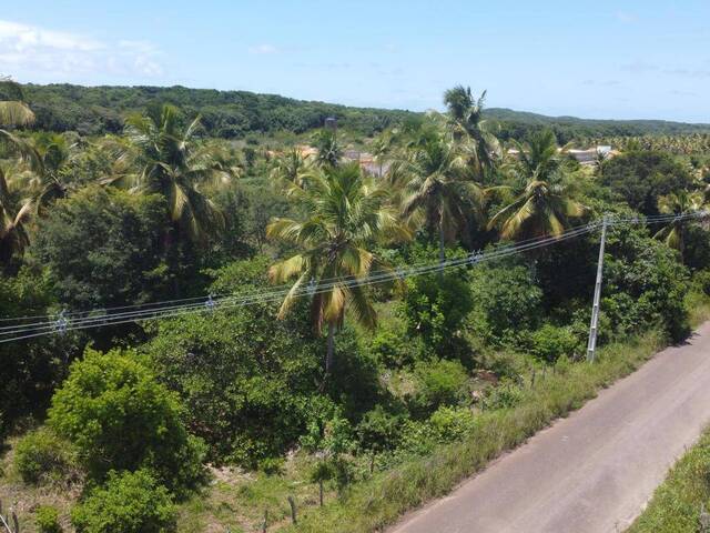Land in Terreno à Venda na RN 003- Tibau do Sul/ RN