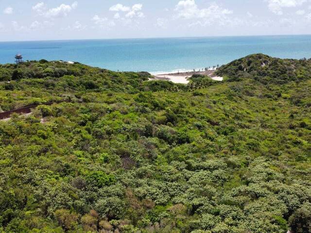 Land in Terreno à Venda na Praia da Pipa- Tibau do Sul/ RN