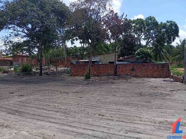 Land in Terreno à Venda na Praia da Pipa- Tibau do Sul/ RN