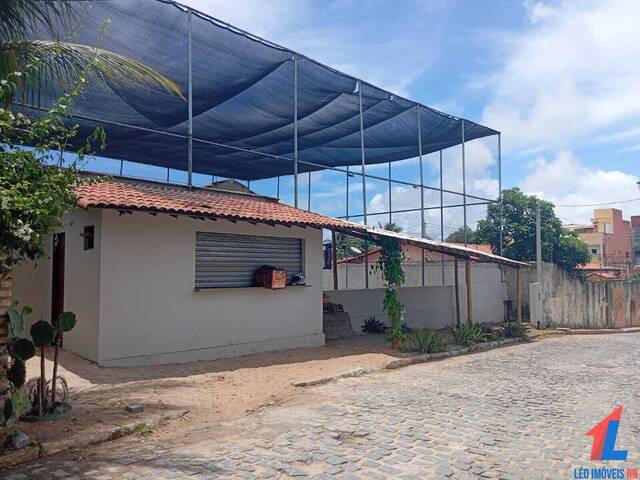 Commercial in Imóvel Comercial à Venda na Praia da Pipa- Tibau do Sul/ RN