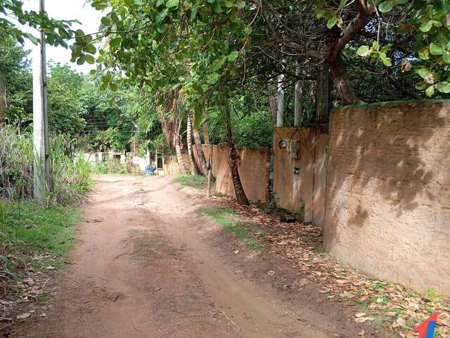 Land in Terreno à Venda na Praia da Pipa- Tibau do Sul/ RN