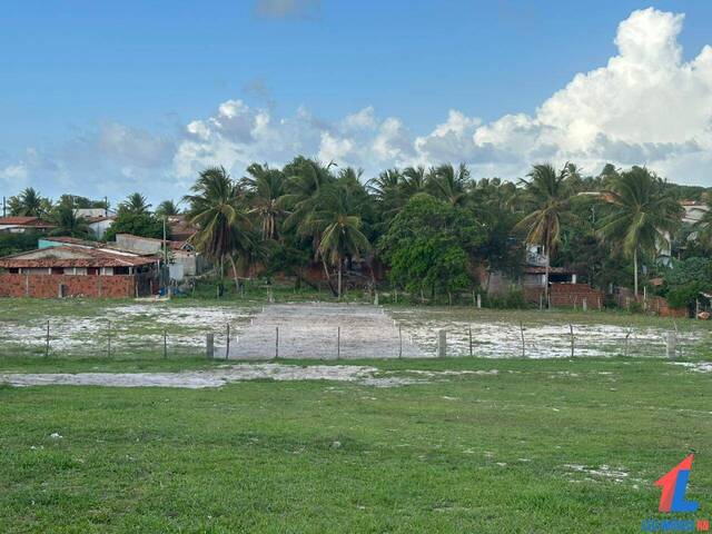 Land in Terreno à Venda em Sibaúma- Tibau do Sul/ RN