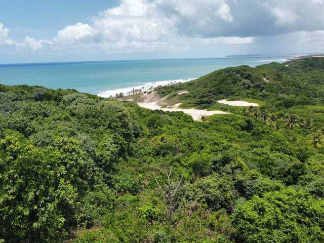 Land in Terreno à Venda na Praia da Pipa- Tibau do Sul/ RN