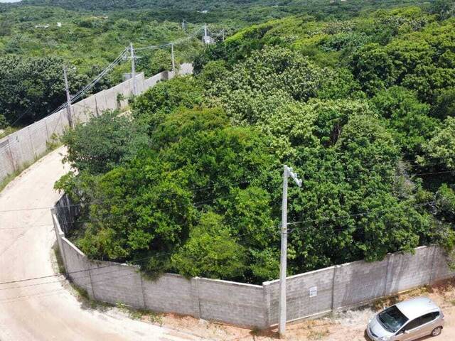 Land in Terreno à Venda na Praia da Pipa- Tibau do Sul/ RN