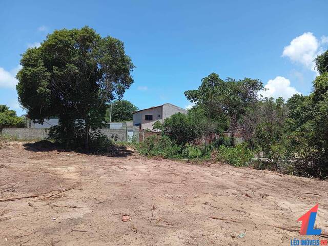 Land in Terreno à Venda na Praia da Pipa- Tibau do Sul/ RN