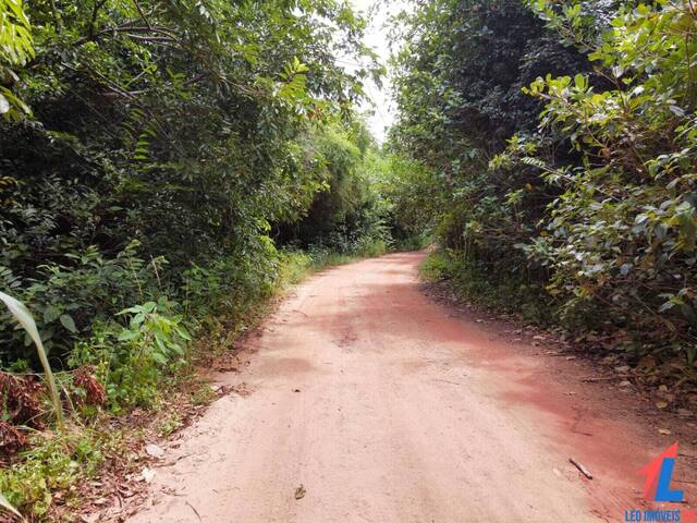 Land in Terreno à Venda na Praia da Pipa- Tibau do Sul/ RN