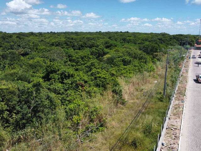 Land in Terreno à Venda na Praia de Cacimbinhas- Tibau do Sul/ RN
