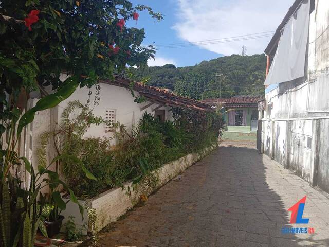 Land in Terreno para Venda na Praia da Pipa- Tibau do Sul / RN