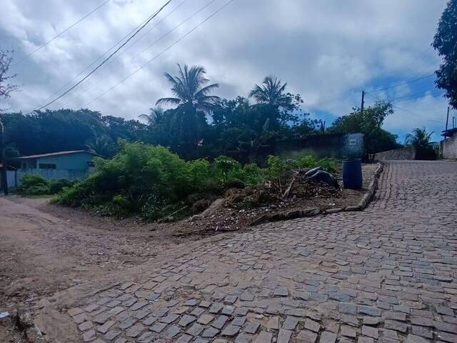 Land in Terreno à Venda na Praia da Pipa, Tibau do Sul/ RN