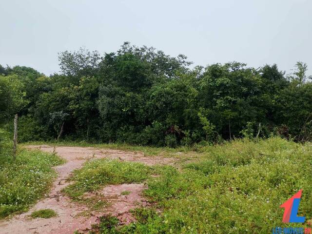 Land in Terreno à Venda na Praia da Pipa- Tibau do Sul/ RN