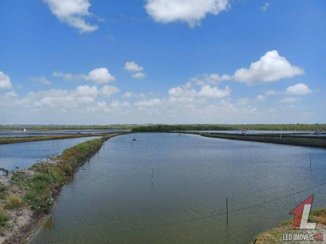 Commercial in Imóvel Comercial para Venda em Manibu- Tibau do Sul / RN