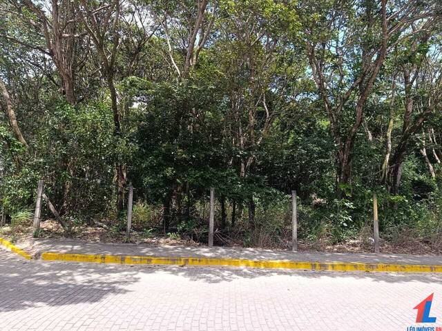 Land in Terreno à Venda na Praia da Pipa- Tibau do Sul/ RN