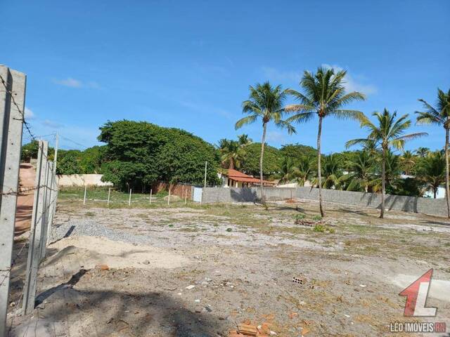 Land in Terreno para Venda em Sibaúma- Tibau do Sul / RN