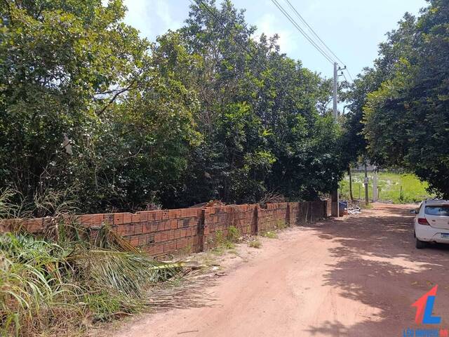 Land in Terreno à Venda na Praia da Pipa- Tibau do Sul/ RN