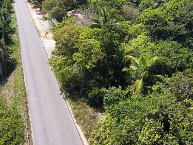 Land in Terreno à Venda na RN-003- Tibau do Sul/ RN