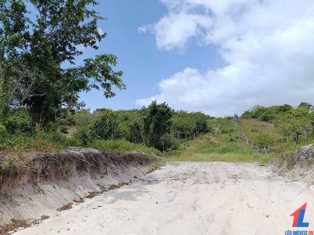 Land in Terreno à venda na Praia da Pipa- Tibau do Sul/ RN