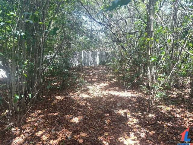 Land in Terreno à Venda na Praia da Pipa- Tibau do Sul/ RN