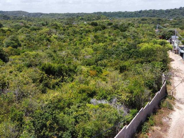 Land in Terreno à Venda na Praia da Pipa- Tibau do Sul/ RN